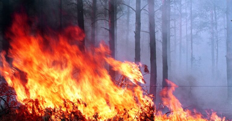 В Турции более 180 человек пострадали из-за пожара