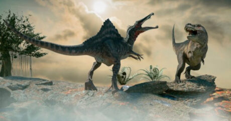 Ученые сделали открытие о вымирании динозавров