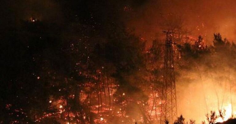 В Генконсульстве Азербайджана в Турции открыта «горячая линия» в связи с пожарами