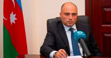 Министр культуры Азербайджана отправился с визитом в Грузию