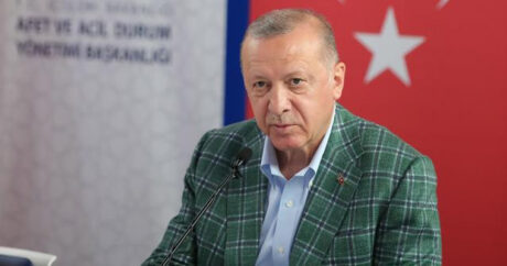 Эрдоган: Самую важную поддержку в тушении лесных пожаров в Турции оказал Азербайджан