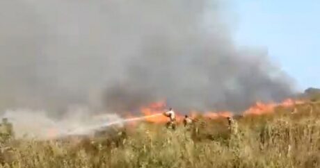 МЧС: Ветреная погода затрудняет тушение пожара в Национальном парке Гызылагач