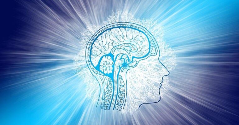Ученые обнаружили возможность мозга предсказывать будущее