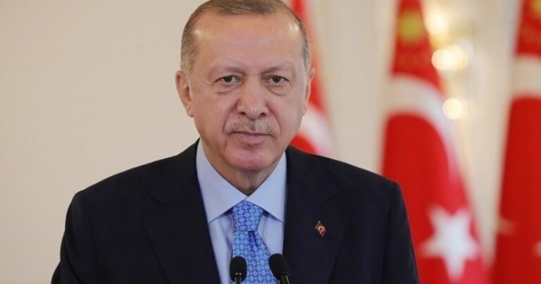 Эрдоган: Есть подозрение на террор в пожарах