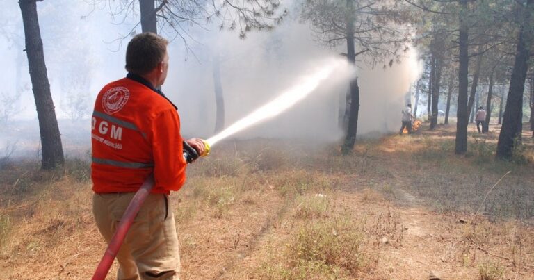 Число действующих лесных пожаров в Турции уменьшилось до пяти