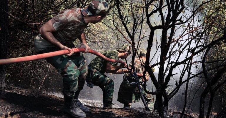 Азербайджанские и турецкие пожарные ликвидировали пожары в регионе Денизли