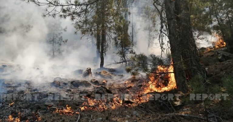 В Габале продолжается пожар в горной местности