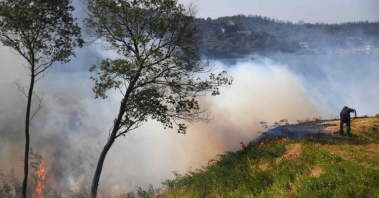 В Стамбуле начался лесной пожар