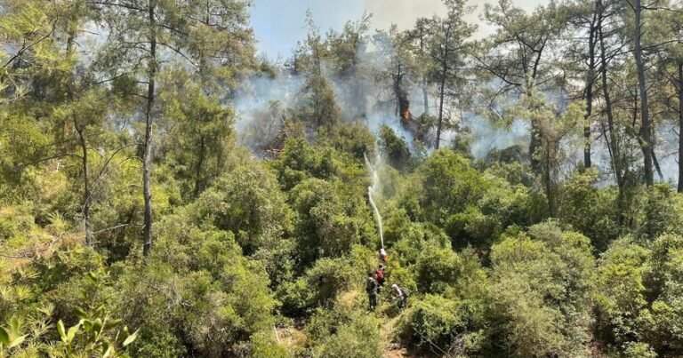 В Турции пожарные Азербайджана успешно продолжают борьбу с огнем