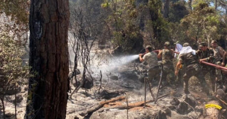 Азербайджанские пожарные продолжают бороться с лесными пожарами в Турции