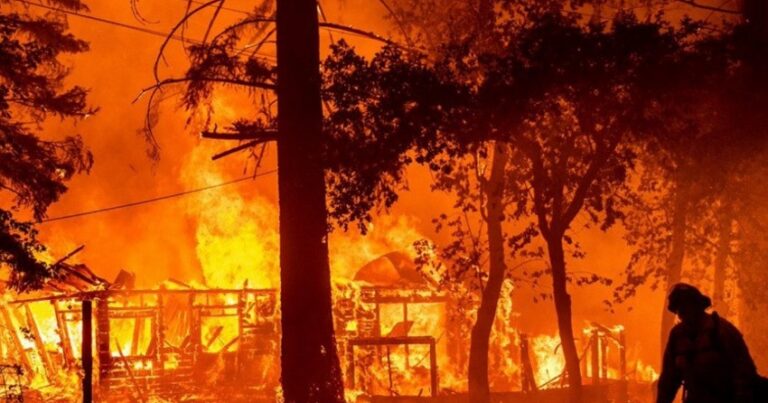 Число жертв при лесных пожарах в Турции возросло до восьми