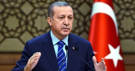Эрдоган отметил роль Азербайджана в тушении лесных пожаров в Турции