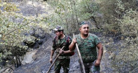 Силы МЧС Азербайджана потушили пожар в зеленой зоне турецкого города Айдын