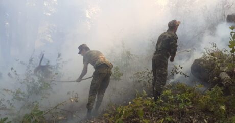 Лесной пожар в Ярдымлинском районе потушен