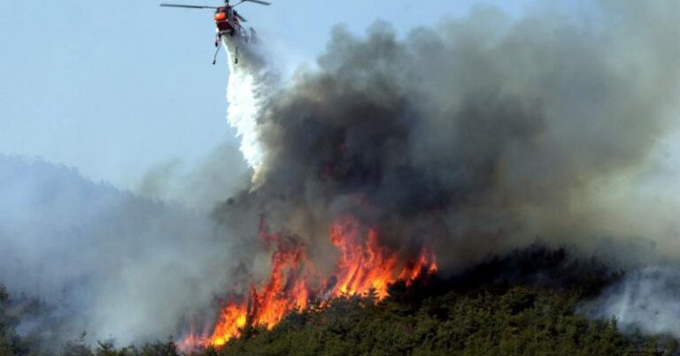 Казахстан направил вертолеты и спасателей в Турцию для тушения лесных пожаров