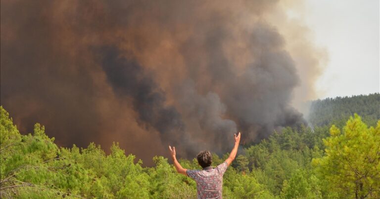 В Турции продолжается тушение 7 лесных пожаров