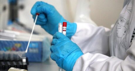 Пандемия из пробирки. Мог ли коронавирус утечь из китайской лаборатории ?