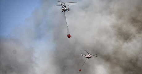 В Турции локализованы 152 из 163 лесных пожаров