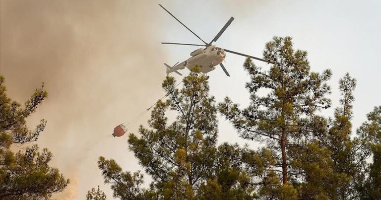 В Турции локализованы 117 лесных пожаров