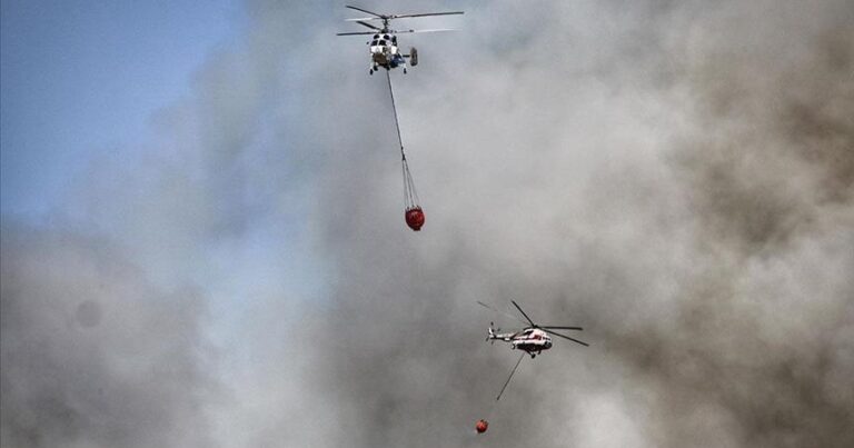 В Турции локализовано 185 лесных пожаров из 197