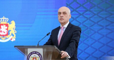 Глава МИД: Состоится обсуждение отраслевого сотрудничества между Грузией и Азербайджаном