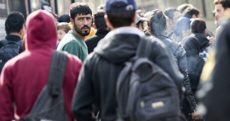 Мигранты в Дании должны будут работать, чтобы получать пособия