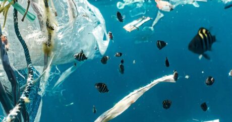 Ученые придумали микророботов для очистки вод от пластикового мусора