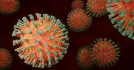 Американские ученые выявили «сверхчеловеческий» иммунитет против коронавируса