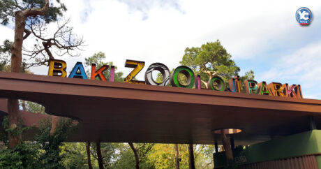 Бакинский зоопарк после реконструкции – ФОТОРЕПОРТАЖ