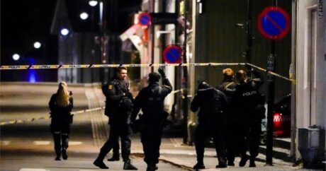 Несколько человек погибли в Норвегии при атаке из лука со стрелами