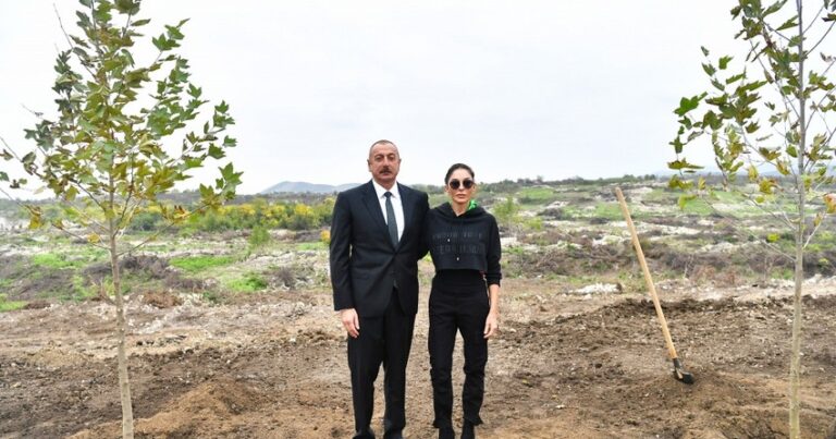 Президент и первая леди посадили деревья в Центральном городском парке в Физули
