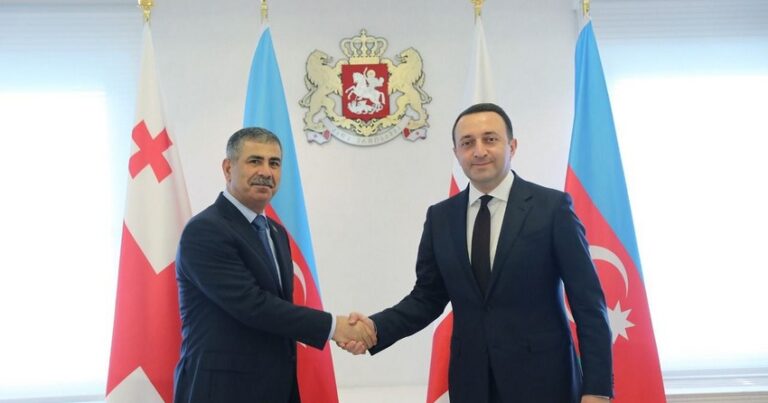 Министр обороны Азербайджана встретился с премьер-министром Грузии