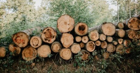 В Финляндии открыли автомат по продаже дров