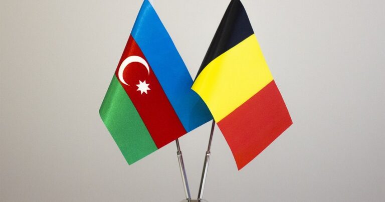 Министр энергетики Азербайджана принял посла Бельгии