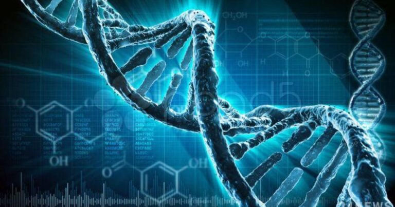 Ученые обнаружили влияние генетики на тренировки