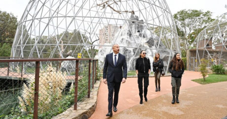 Ильхам Алиев и Мехрибан Алиева приняли участие в открытии после реконструкции Бакинского зоопарка
