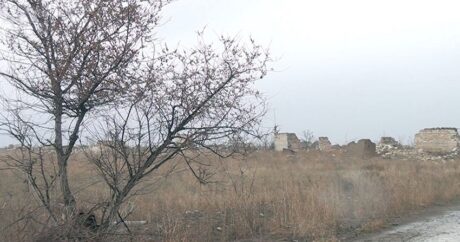 Министерство обороны Азербайджана распространило видеокадры из освобожденного села Ильхычылар Агдамского района.  Report представляет эти кадры: