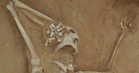 В Китае раскрыли тайну убийства древнего «расхитителя гробниц»