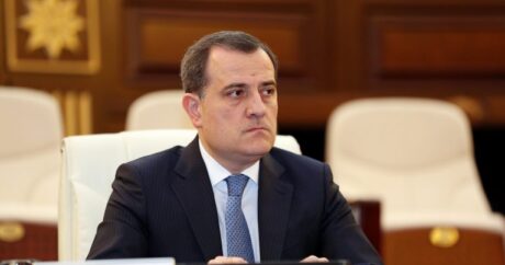 Министр: Точность предоставленных Арменией минных карт очень низкая