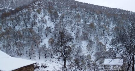 В Гедабеке высота снежного покрова составила 28 см