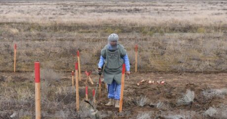 ANAMA: На освобожденных территориях обнаружено 38 мин