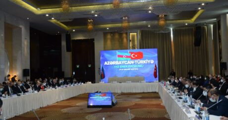 В Баку проходит азербайджано-турецкий энергетический форум