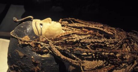 Облик Аменхотепа I реконструировали по его мумии