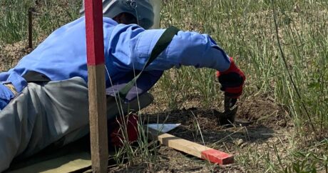 На прошлой неделе на освобожденных территориях Азербайджана обнаружено 15 мин