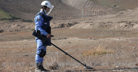 ANAMA: На освобожденных территориях обнаружено еще 57 мин