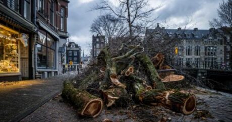 В Европе ураган «Юнис» унес жизни 16 человек