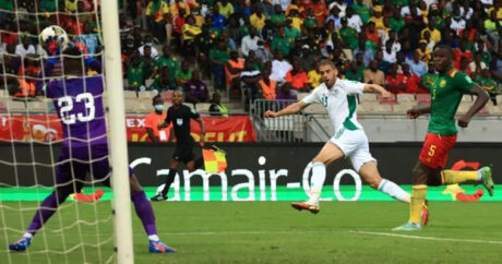 Алжир обыграл Камерун в рамках отбора на чемпионат мира