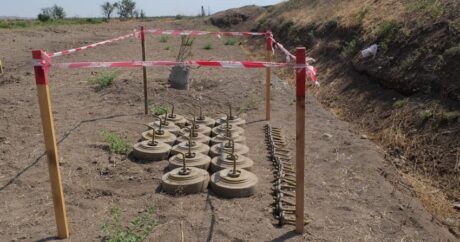 ANAMA: На освобожденных территориях обнаружено еще 34 мины
