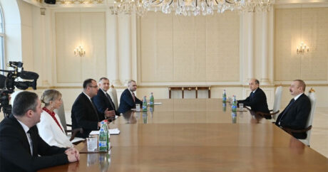 Президент Ильхам Алиев принял делегацию во главе с министром юстиции Грузии