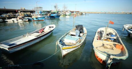 Турция приостановила все виды рыболовства в водах Черного моря